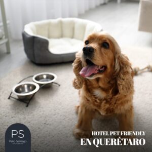 Hotel pet friendly en Querétaro
